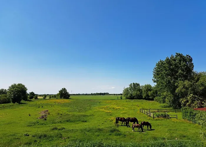 Fewo Visser\'S Landblick