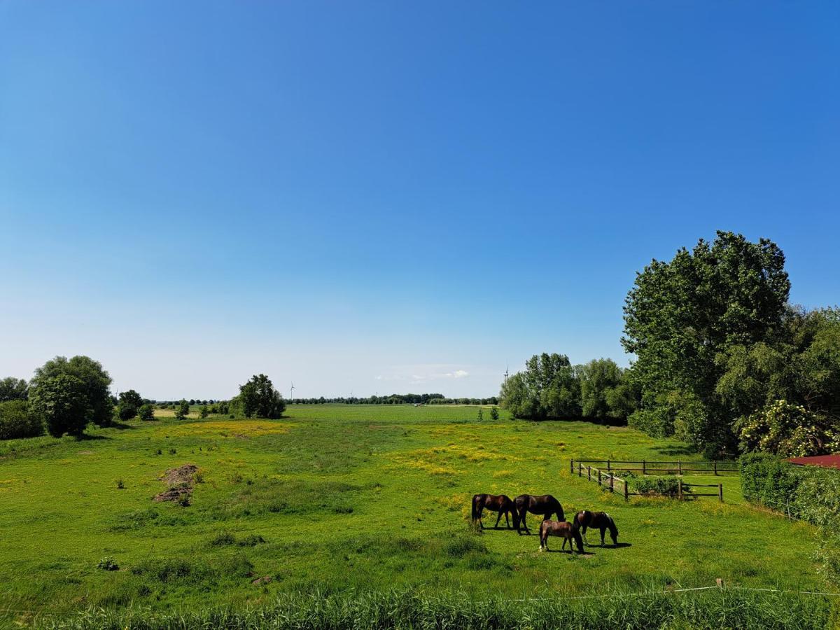 Visser's Landblick Krummhoern